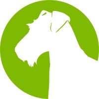 AireforgeÂ® logo