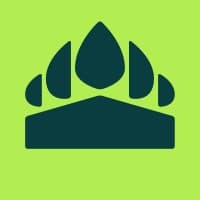King Grizzly logo