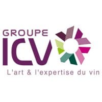 Groupe ICV logo