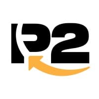 P2 Solutions Group logo