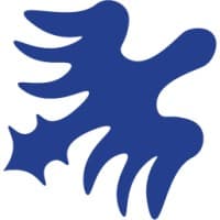 Most Significant Bytes logo