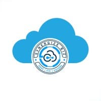 Synergize Biz logo