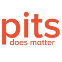 Pits Global Veri Kurtarma Hizmetleri logo
