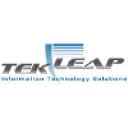 TekLeap logo