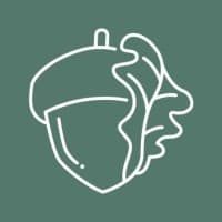 Acorn Studio Marketing & logo