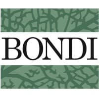 Bondi Executive Search logo