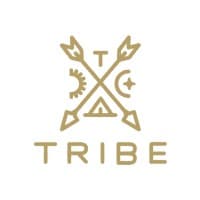 Tribe Interactive logo