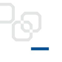 Infogest S.r.l logo