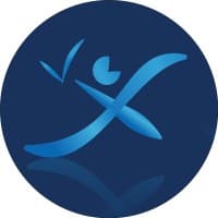 Valex Group logo