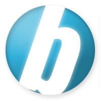 Bisnis Partner Group logo