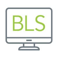 BLS IT Solutions logo