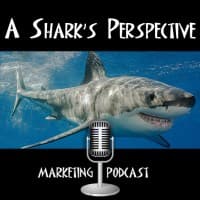 A Shark's Perspective logo
