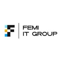 FEMI IT GROUP logo