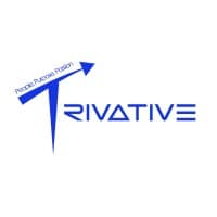 Trivative Planning Consultants logo