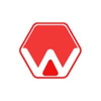 Wint Global logo
