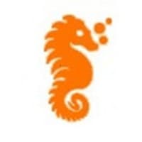 Hippocampus Infotech Pvt logo