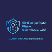Enterprise Risk Services logo