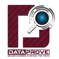Data Prove logo
