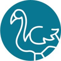 Digital Flamingo logo