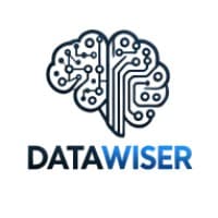 DataWiser logo