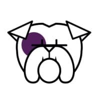 Little LÃ©on logo