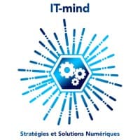 IT-mind logo