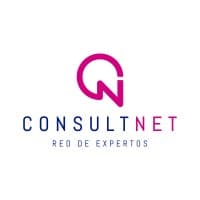 Consultnet Srl logo