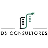 DS Consultores logo
