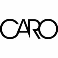 CARO Consulting logo