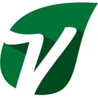 Vine Technology Solutions logo