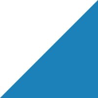 PRECISIONvalue logo