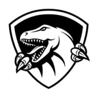 Raptor IT Consultants logo