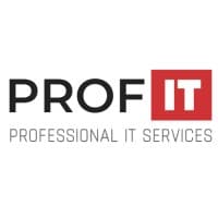Professional IT Services logo