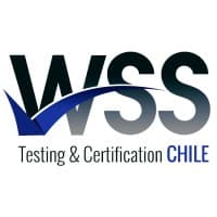 WSS World Survey Services S.A logo