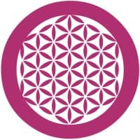 Open Source Management s.r.l logo