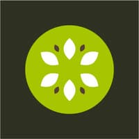 Kivii logo