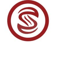 Savvy Setup logo