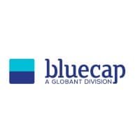 Bluecap Management Consulting logo