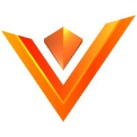 vCyberiz logo