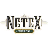 NeTex Consulting logo