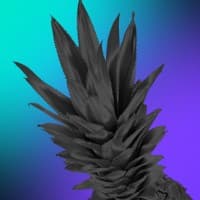 Macfor Full Marketing Digital logo