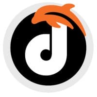 Dolphin Web Solution logo
