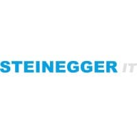 Steinegger IT logo