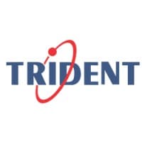 Trident Information logo