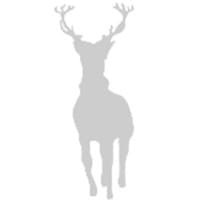 Silverlight Research Group logo