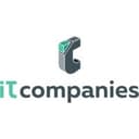 IT Companies Network logo