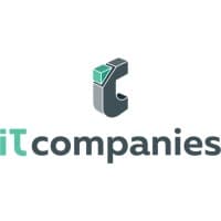 IT Companies Network logo