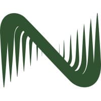 NetStronghold logo