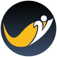 Fokus MSP logo