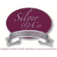 Silver Accounting Services Ltd TA Silver logo